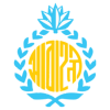 瓦里足球俱乐部